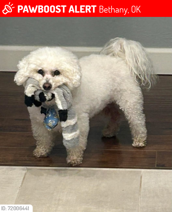 Lost Male Dog last seen 36th & Mueller, Bethany, OK 73008