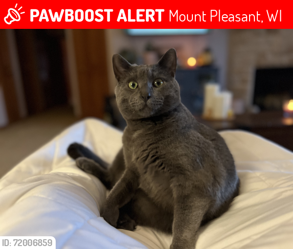 Lost Male Cat last seen N Sunnyslope Dr & Spring Street, Mount Pleasant, WI 53406