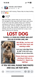 Lost Male Dog last seen Lakeridge Drive, Big Lake, MN 55309