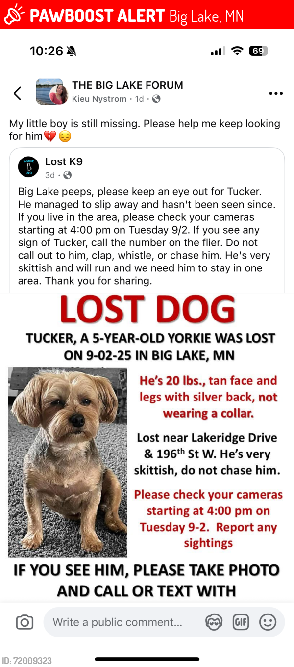 Lost Male Dog last seen Lakeridge Drive, Big Lake, MN 55309