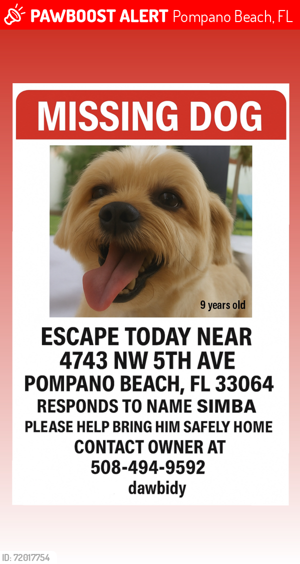 Lost Male Dog last seen Near NW 5th Street , Pompano Beach, FL 33064