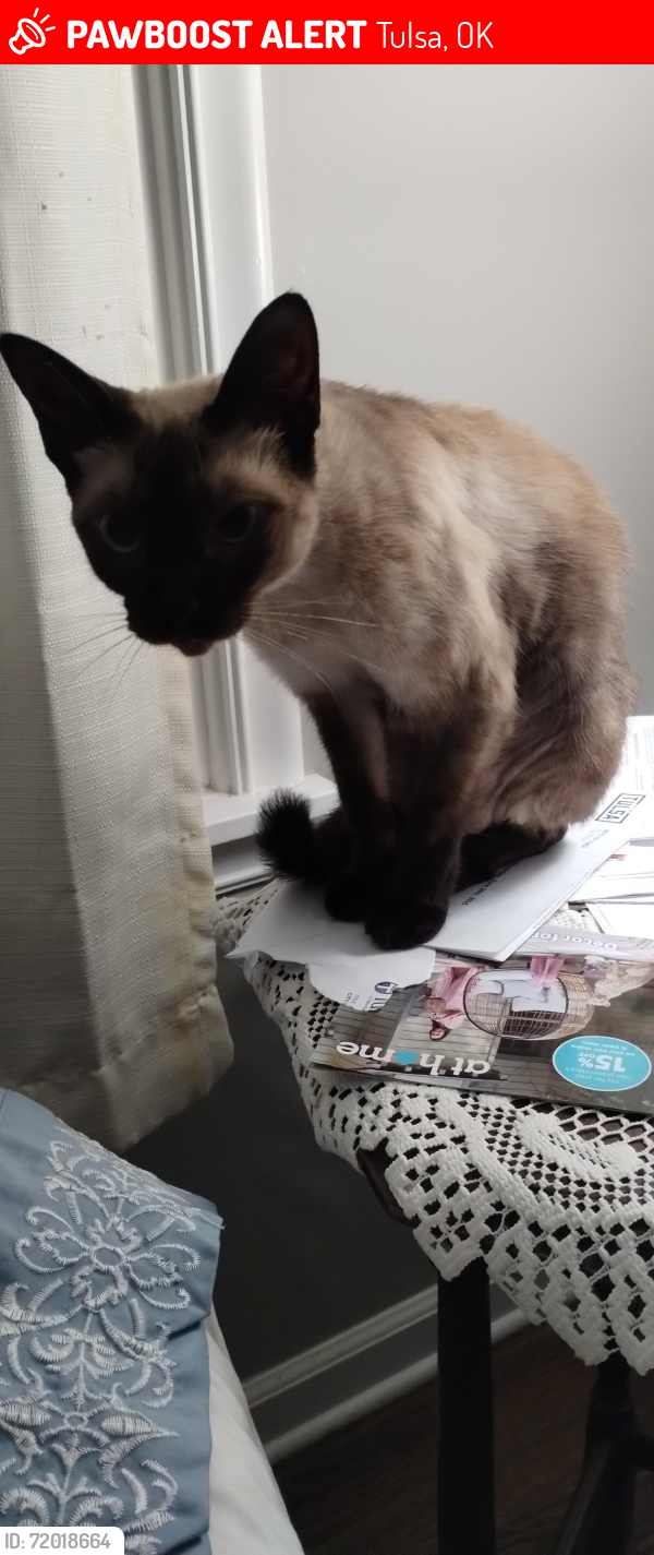Lost Female Cat last seen Near S Quebec Ave , Tulsa, OK 74114