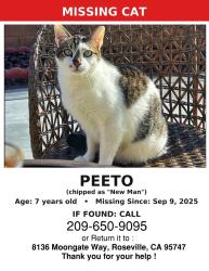 Lost Female Cat last seen Near moonget way 95747 , Roseville, CA 77017