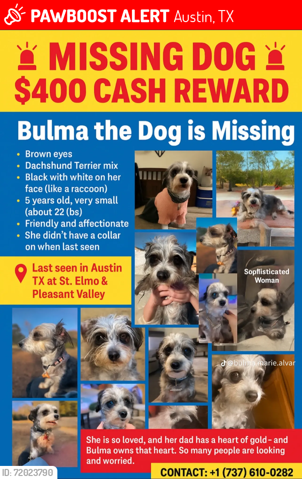 Lost Female Dog last seen Franklin Park apmts Austin, Tx, Austin, TX 78744