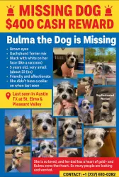 Lost Female Dog last seen Franklin Park apmts Austin, Tx, Austin, TX 78744