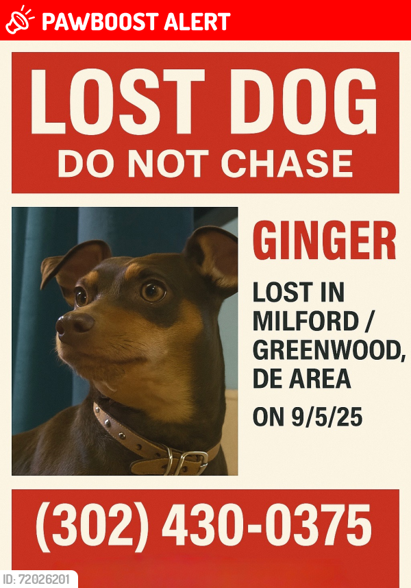 Lost Female Dog last seen Williamsville Rd , Abbotts Pond Rd, DE 19960