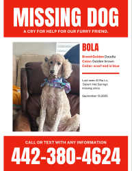 Lost Female Dog last seen Near El Rio Ln, Desert Hot Springs, Desert Hot Springs, CA 92240