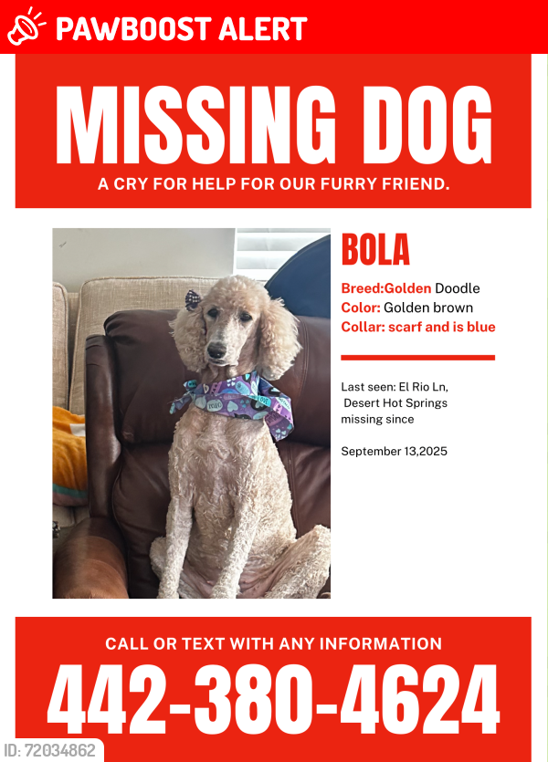 Lost Female Dog last seen Near El Rio Ln, Desert Hot Springs, Desert Hot Springs, CA 92240