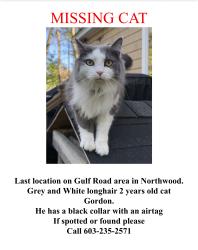 Lost Male Cat last seen Gulf Road , Northwood, NH 03261