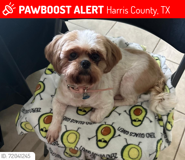 Lost Female Dog last seen Tawny Wood ct and Kenswick Dr, Harris County, TX 77338