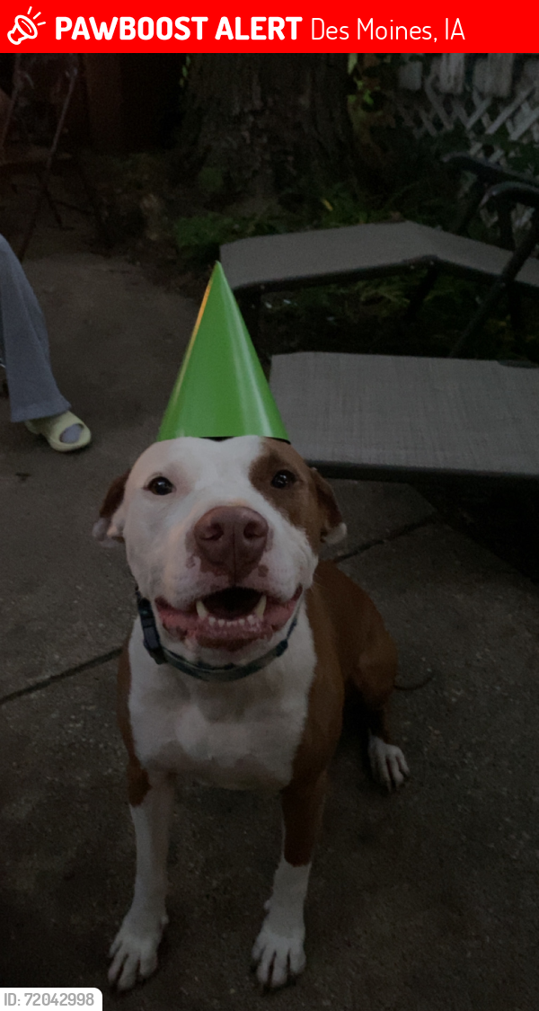 Lost Male Dog last seen 63rd Street, Des Moines, IA 50312