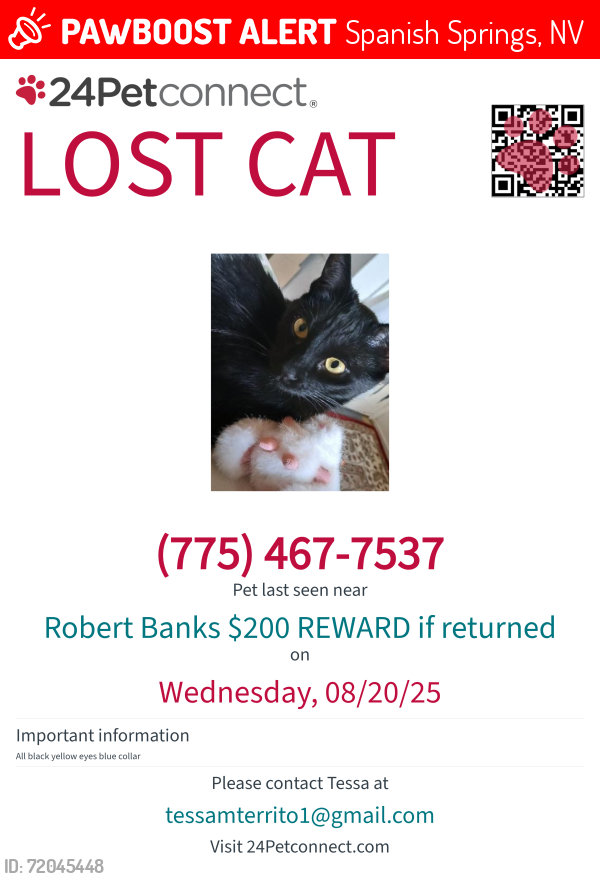 Lost Male Cat last seen Robert Banks blvd, Spanish Springs, NV 89436
