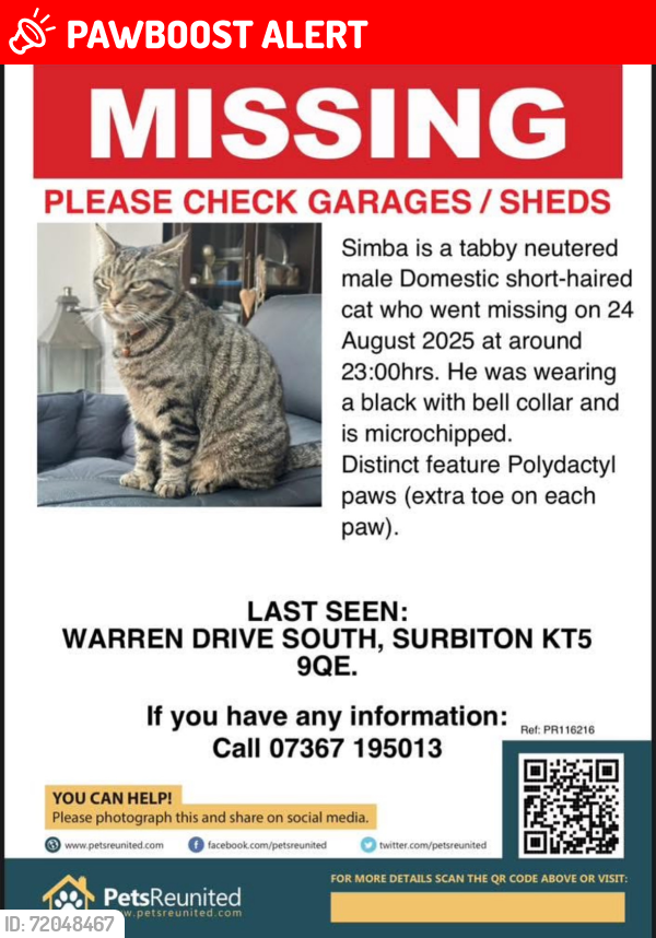 Lost Male Cat last seen  , Greater London, England KT5 9QE