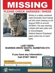 Lost Male Cat last seen  , Greater London, England KT5 9QE