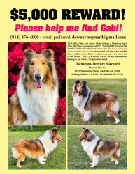 Lost Female Dog last seen Near Turnbull Rd. Fayetteville NC, Fayetteville, NC 28312