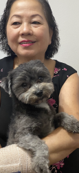 Lost Male Dog last seen Near Ranch Market at Carrollton,TX,, Carrollton, TX 75006