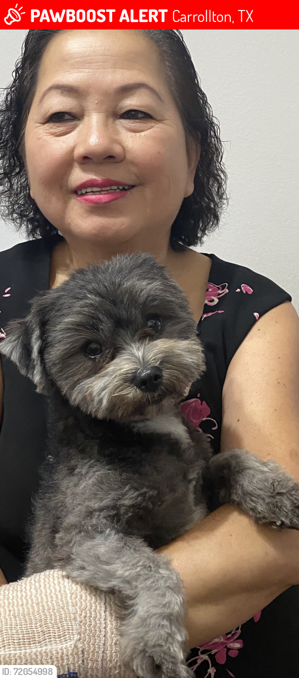 Lost Male Dog last seen Near Ranch Market at Carrollton,TX,, Carrollton, TX 75006