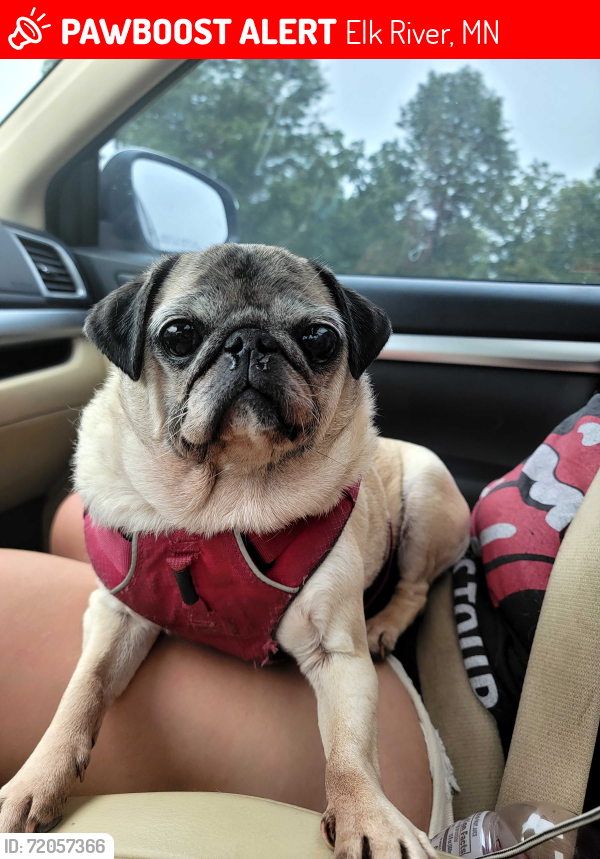 Lost Female Dog last seen Near 110th St NW, Elk River (residential neighborhood), Elk River, MN 55330
