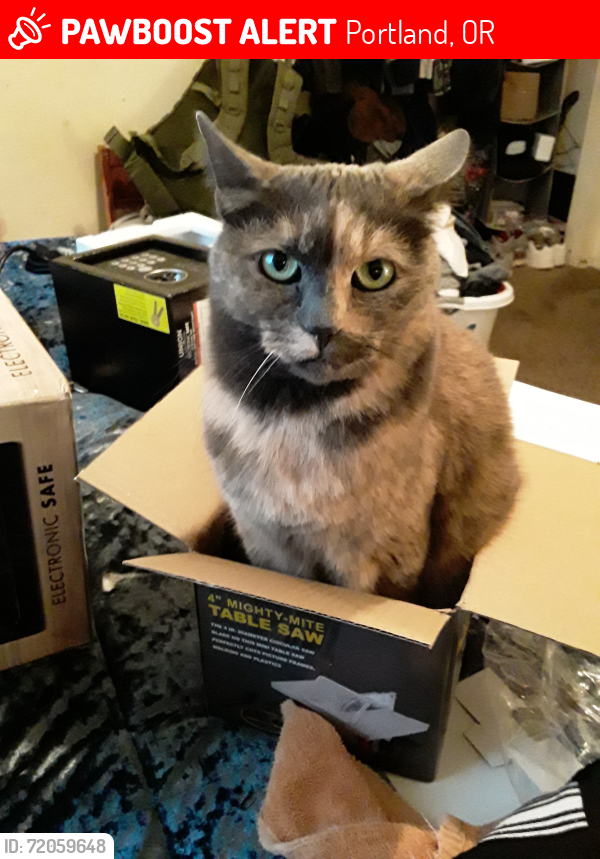 Lost Female Cat last seen 169th SE Foster rd, Portland, OR 97266