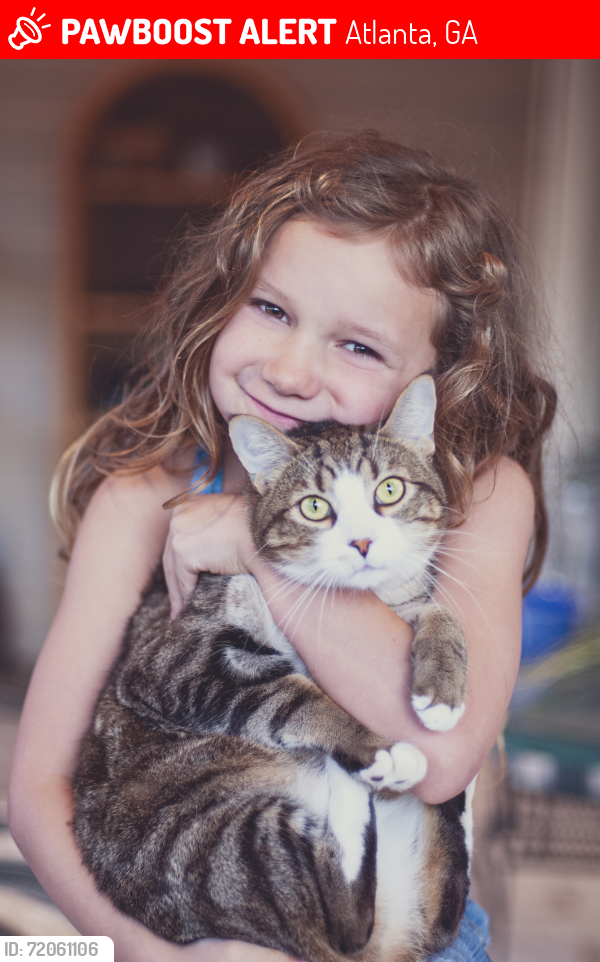 Lost Male Cat last seen United Ave and Woodland Ave, near Moreland Ave, Atlanta, GA 30316