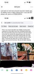 Lost Male Cat last seen Highfield country park 8, Greater Manchester, England M19 3JS