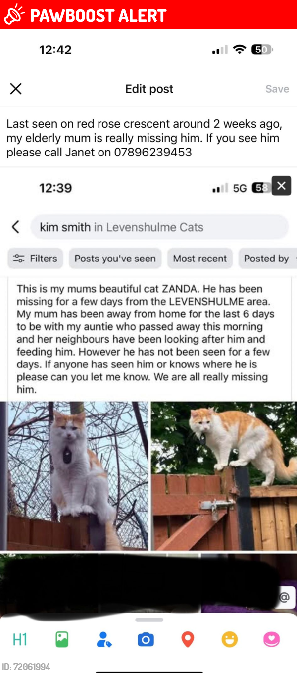 Lost Male Cat last seen Highfield country park 8, Greater Manchester, England M19 3JS