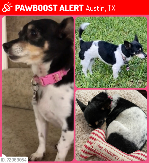 Lost Female Dog last seen Brushy Creek Community Center, Round Rock, TX 78681