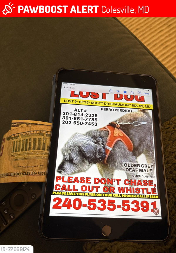 Lost Male Dog last seen Scott Dr. @ Beaumont Rd. , Colesville, MD 20904