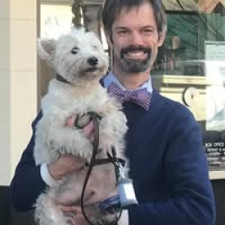 Lost Male Dog last seen Cayman Court, Thompson's Station, TN 37179