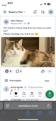 Lost Female Cat last seen Huebner and Churchill ests, San Antonio, TX 78248