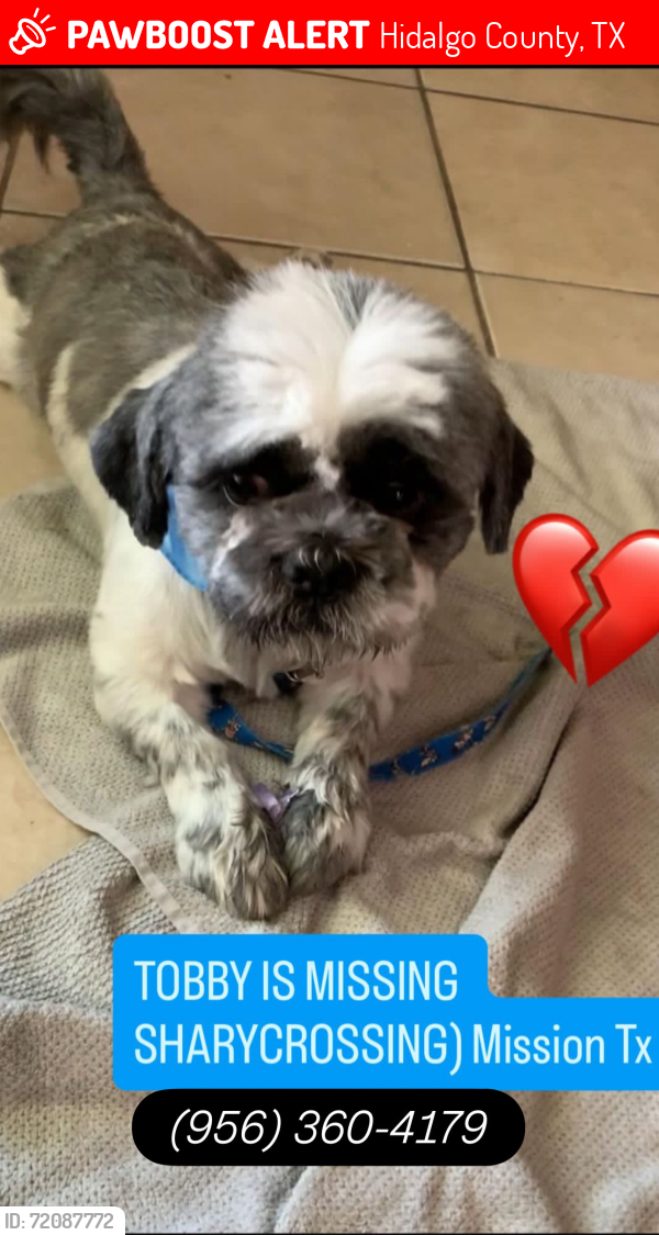 Lost Male Dog last seen Leanna Denae Sharycrossing Mission , Hidalgo County, TX 78573