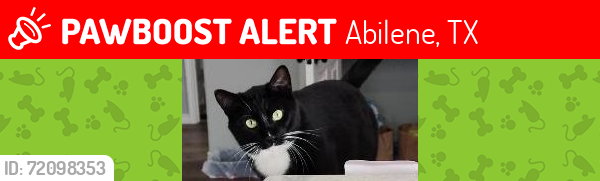 Lost Male Cat last seen Cedar Hills, Abilene, TX 79606