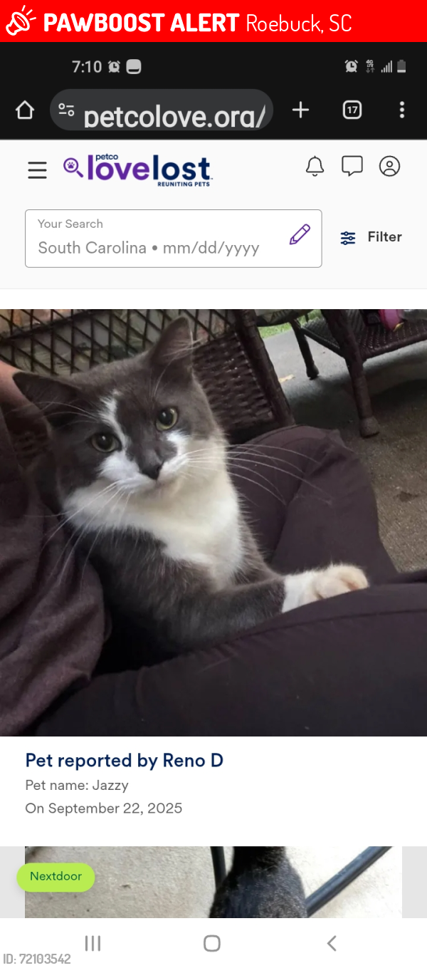 Lost Male Cat last seen west heatherstone lane Roebuck , Roebuck, SC 29376