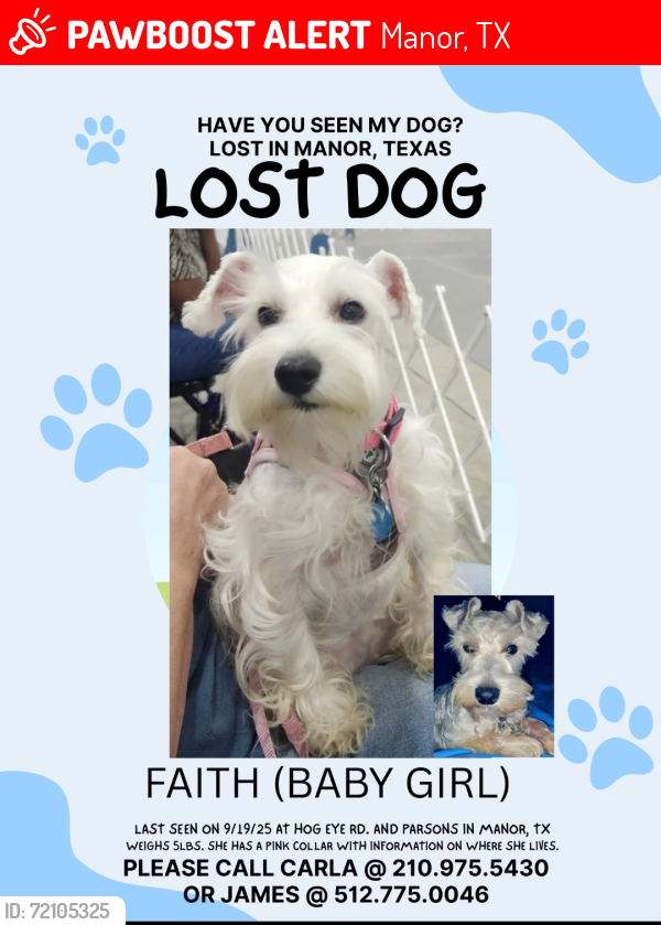 Lost Female Dog last seen Blake Manor , Manor, TX 78653
