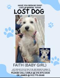 Lost Female Dog last seen Blake Manor , Manor, TX 78653