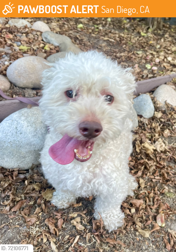 Found/Stray Male Dog last seen Bluebird St/Mallard St-Encanto, San Diego, CA 92114