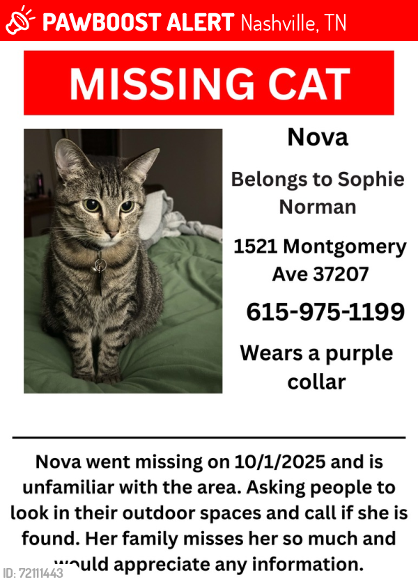 Lost Female Cat last seen Montgomery & Blue Ridge Dr, Nashville, TN 37207
