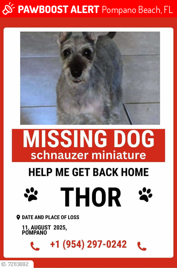 Lost Female Dog last seen Near 420 nw 43 st, Pompano Beach, FL 33064