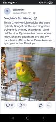 Lost Female Bird last seen E. Loyola Drive & Uravan, Aurora, CO 80013