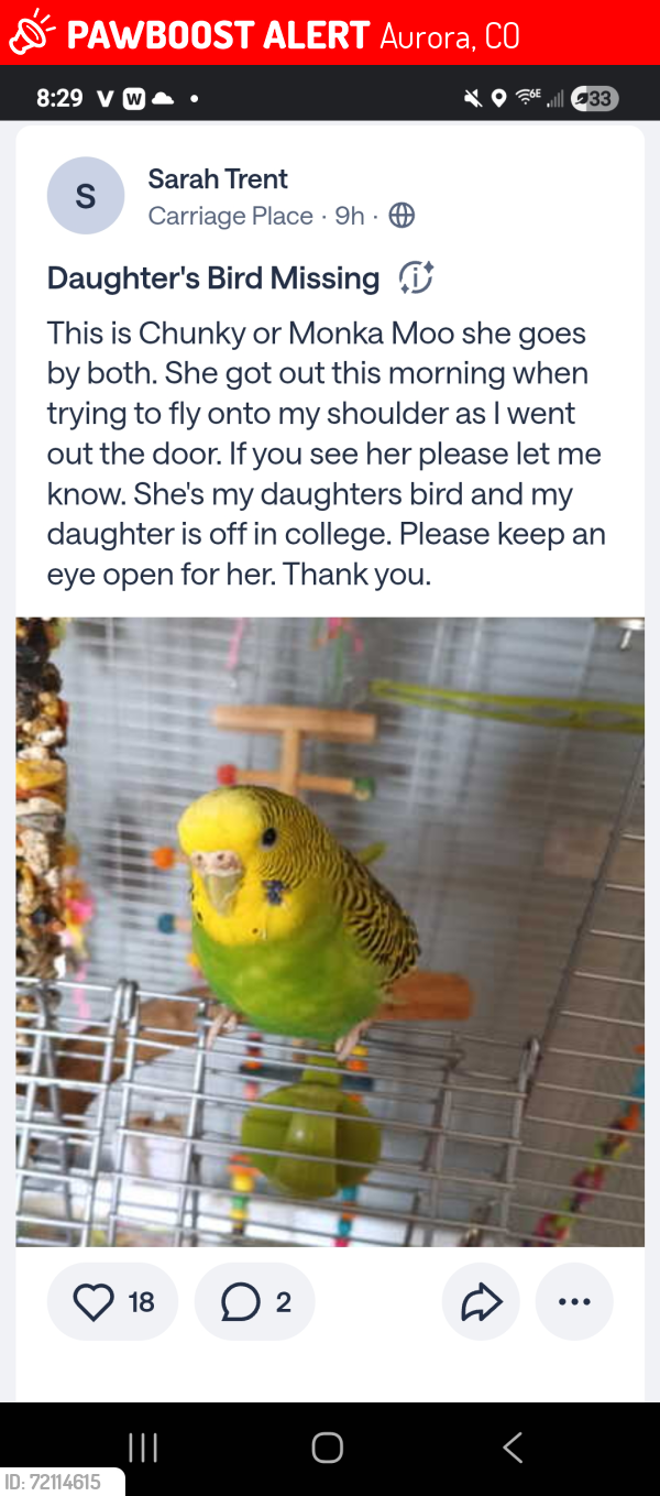 Lost Female Bird last seen E. Loyola Drive & Uravan, Aurora, CO 80013