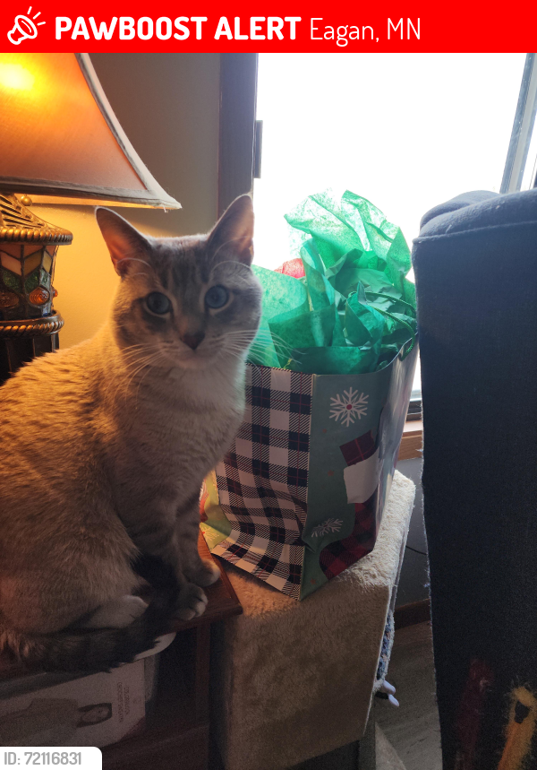 Lost Male Cat last seen Town Centre Dr & Lexington Avenue S, Eagan, MN 55123