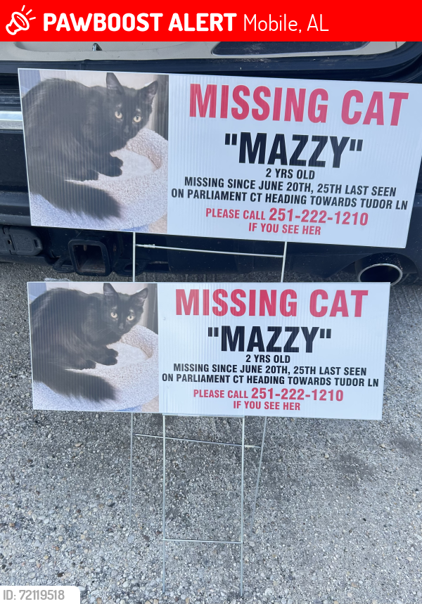 Lost Female Cat last seen Tower Place off Air Terminal Dr , Mobile, AL 36695