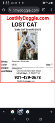 Lost Female Cat last seen Bell st /pepper branch /beta st/ west riverside, McMinnville, TN 37110