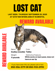 Lost Male Cat last seen Myers Ann St in Bristol Florida , Bristol, FL 32321