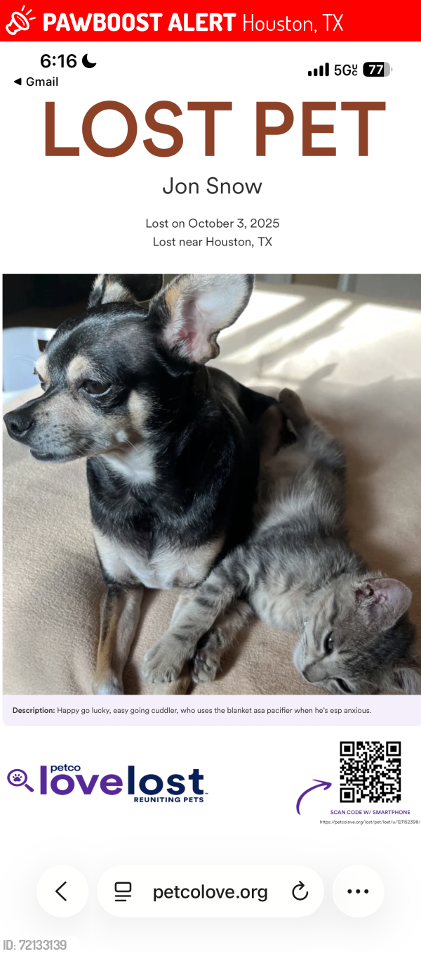 Lost Male Dog last seen N Braeswood S Braeswood, Houston, TX 77096