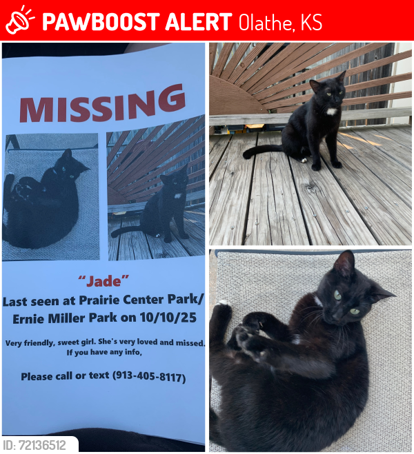 Lost Female Cat last seen Rolling Ridge Trail, Olathe, KS 66061