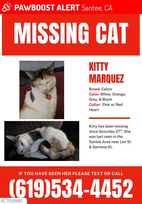 Lost Female Cat last seen Santana St, Santee, CA 92071