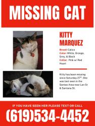 Lost Female Cat last seen Santana St, Santee, CA 92071