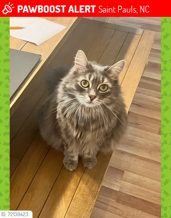 Lost Male Cat last seen Yarbrough and Chickenfoot, Saint Pauls, NC 28384