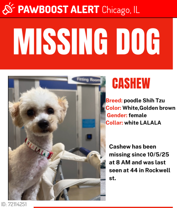 Lost Female Dog last seen Near & Rockwell, Chicago, IL 60632